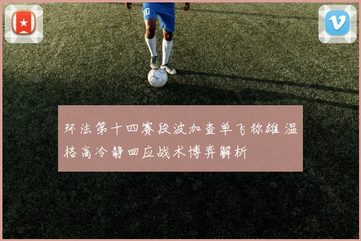环法第十四赛段波加查单飞称雄 温格高冷静回应战术博弈解析