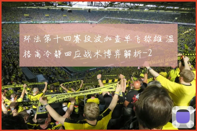 环法第十四赛段波加查单飞称雄 温格高冷静回应战术博弈解析